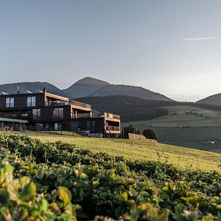 Aparthotel Panorama Living Dolomites Maranza Eksteriør billede